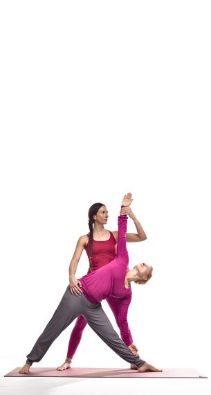 Trikonasana = Dreieck