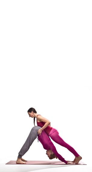Adho Muhka Svanasana = herabschauender Hund
